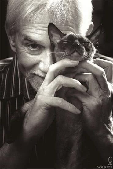 帝王柯尼斯卷毛猫诞生记