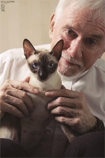 帝王柯尼斯卷毛猫诞生记