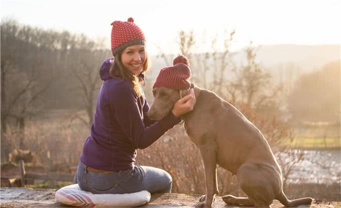 善于狩猎的威玛猎犬,你了解多少呢?
