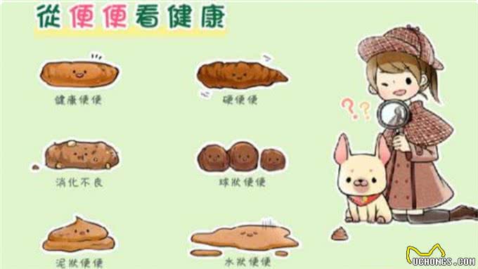 狗狗粑粑的颜色、形状、气味，作为铲屎官的你了解多少?