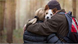 狗狗粑粑的颜色、形状、气味，作为铲屎官的你了解多少?