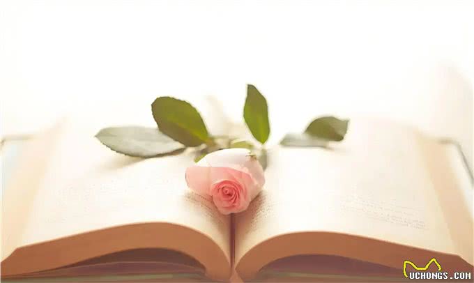 狗，选择骨头不选择钱，穷人，选择手机，不选择书，为什么?