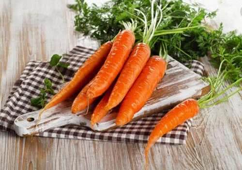 小宠治耳朵:狗狗得耳螨用什么药?宠物狗耳螨不用药怎样处理快?