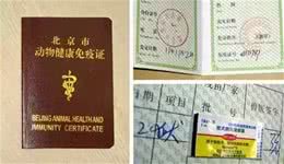 宠物医生的宠物托运攻略这3个准备工作务必要做好