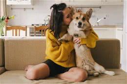 狗狗独处需求:五大关键时刻，主人请别打扰!