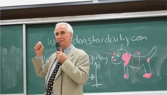 边牧调教训练好文分享:你的狗被奬励给处罚了吗?