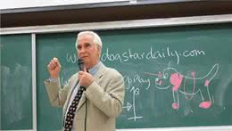 边牧调教训练好文分享:你的狗被奬励给处罚了吗?