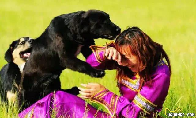 狗狗总喜欢往你身上扑，不仅是因为喜欢你这么简单!还有这几点