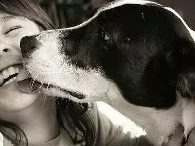 狗狗总喜欢往你身上扑，不仅是因为喜欢你这么简单!还有这几点