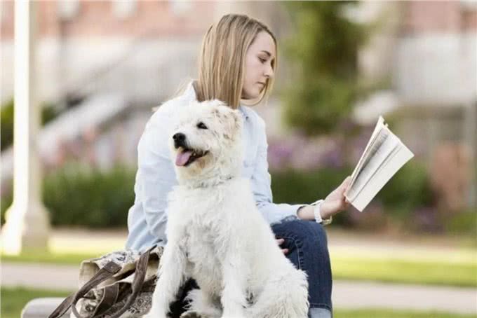 不知道该如何养宠物?这些知识要领，准备工作手把手教你学会