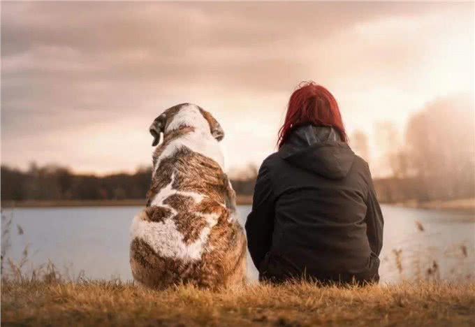 不知道该如何养宠物?这些知识要领，准备工作手把手教你学会