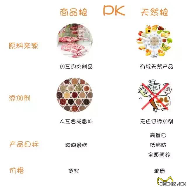 劣质狗粮到底有多大危害!