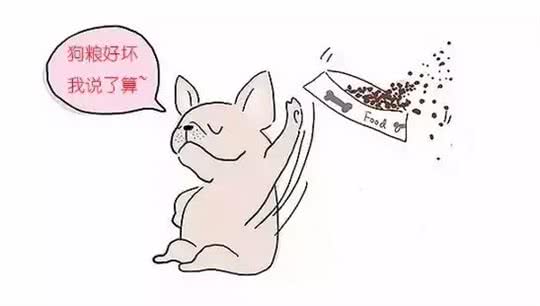 劣质狗粮到底有多大危害!