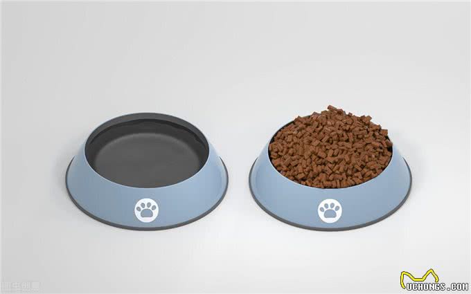 经验分享:养狗家庭必须要准备的物品，适用于新手铲屎官