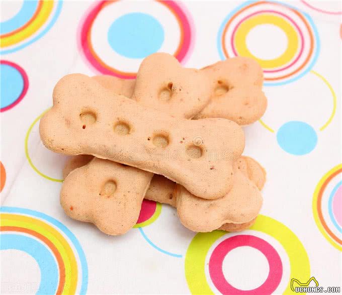 经验分享:养狗家庭必须要准备的物品，适用于新手铲屎官