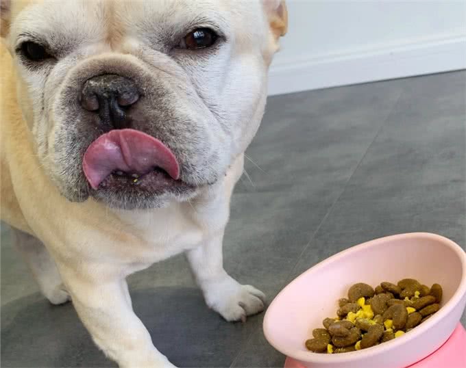 狗狗对咬家具是有什么执念吗?