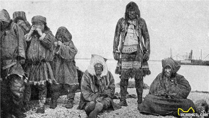 哈士奇:被误解最深的狗,为何人类长期圈养,它们也永不为奴?