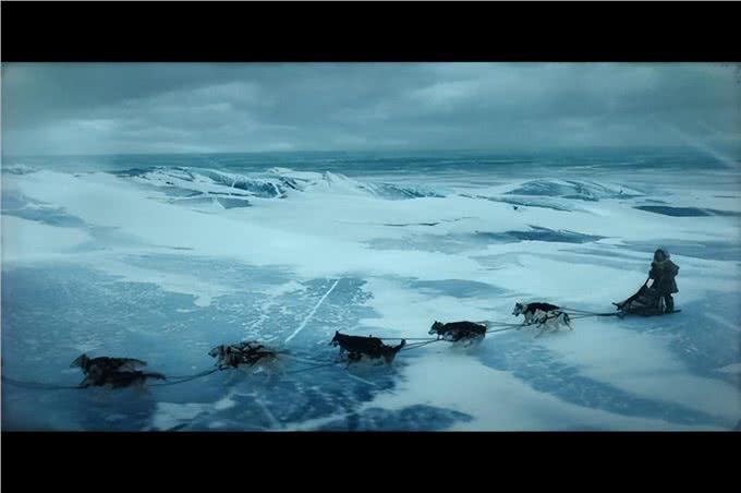 哈士奇:被误解最深的狗,为何人类长期圈养,它们也永不为奴?