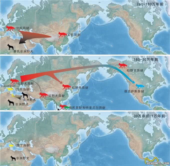 叱咤犬界200万年，竟因为挑食而灭绝