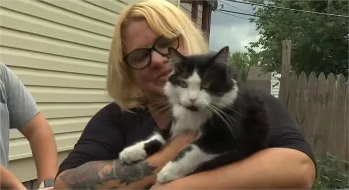 奶牛猫竟然偷鞋成瘾?一夜走12公里行窃，邻居特意拿出鞋让它偷