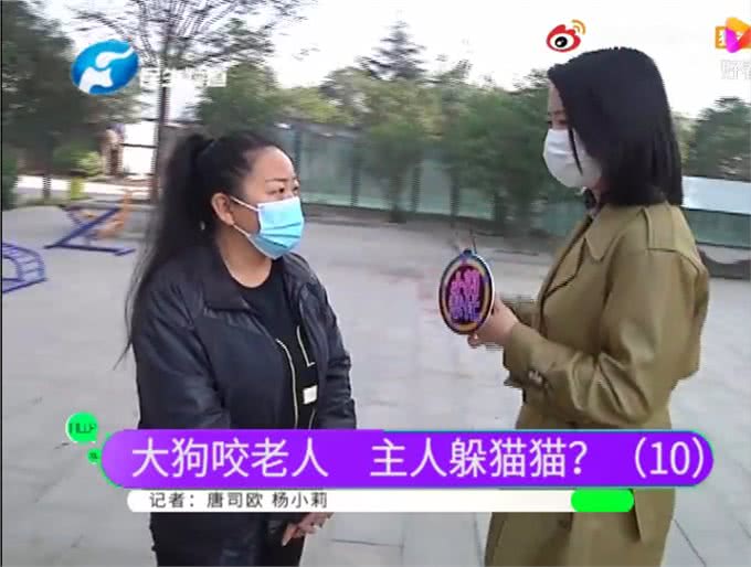丧尸围城失人性狗咬老人戳人心