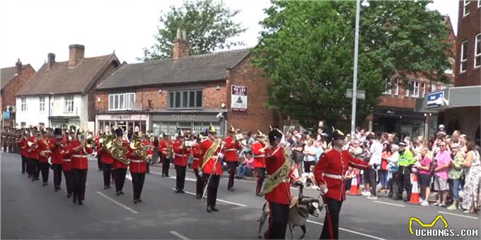 英军麦西亚团的军事吉祥物:斯瓦莱代尔公羊和公牛梗