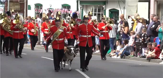 英军麦西亚团的军事吉祥物:斯瓦莱代尔公羊和公牛梗