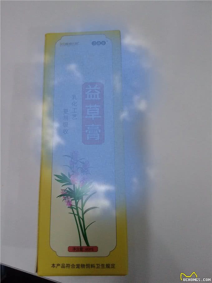 狗狗生产后鼻子变干，千万别忽视!