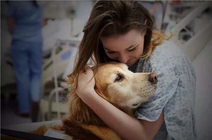 有教养的狗狗，不会做这几件事