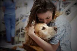 有教养的狗狗，不会做这几件事