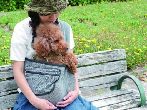 时尚又实用的汪星人背带:让你和狗狗一直在一起