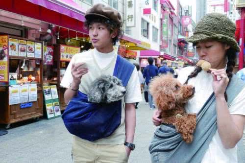 时尚又实用的汪星人背带:让你和狗狗一直在一起