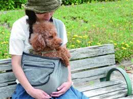 时尚又实用的汪星人背带:让你和狗狗一直在一起