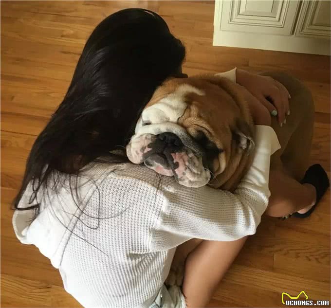 你的宠物会吃醋吗?狗狗吃醋的3种表现小醋怡情，大醋伤身