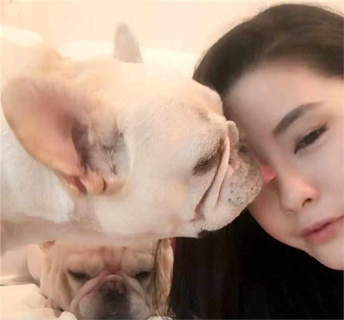 你的宠物会吃醋吗?狗狗吃醋的3种表现小醋怡情，大醋伤身