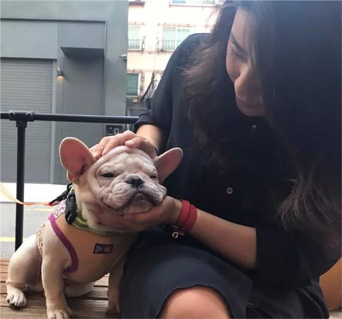 你的宠物会吃醋吗?狗狗吃醋的3种表现小醋怡情，大醋伤身