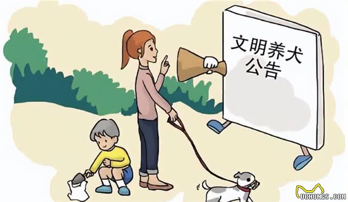 如何文明养犬?一文读懂→