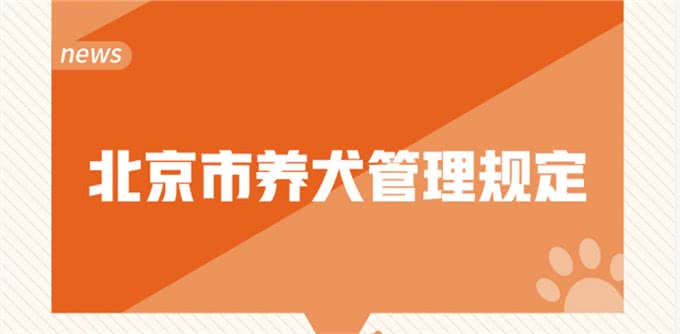 如何文明养犬?一文读懂→