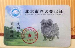 如何文明养犬?一文读懂→