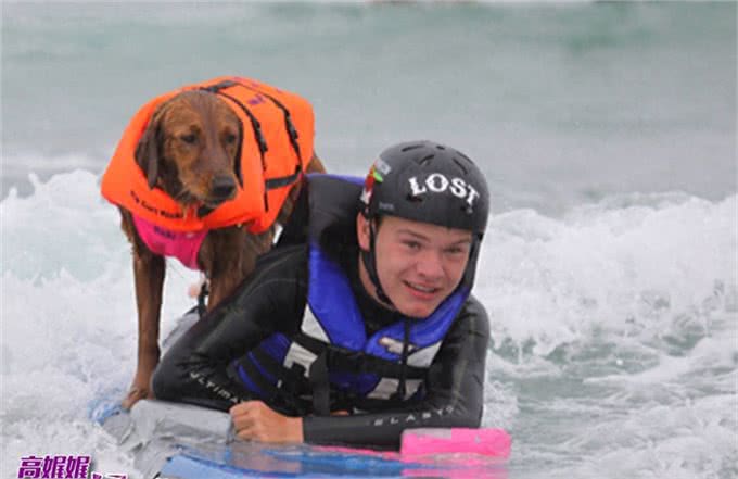高娓娓:狗比人可靠!看美国这些服务犬多能耐,开门、冲浪啥都会