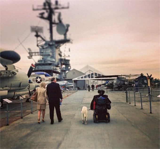 高娓娓:狗比人可靠!看美国这些服务犬多能耐,开门、冲浪啥都会