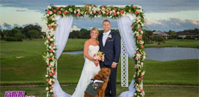 高娓娓:狗比人可靠!看美国这些服务犬多能耐,开门、冲浪啥都会