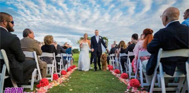 高娓娓:狗比人可靠!看美国这些服务犬多能耐,开门、冲浪啥都会