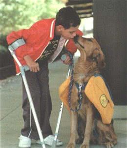 高娓娓：狗比人可靠!看美国这些服务犬多能耐，开门、冲浪啥都会