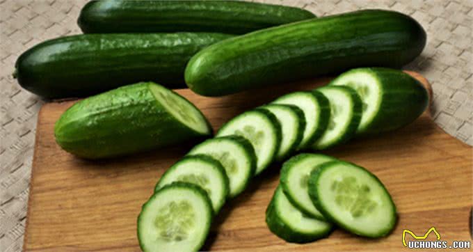 家中的厨房里，有哪些蔬菜适合狗狗吃?