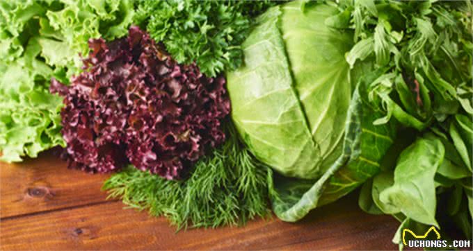 家中的厨房里，有哪些蔬菜适合狗狗吃?