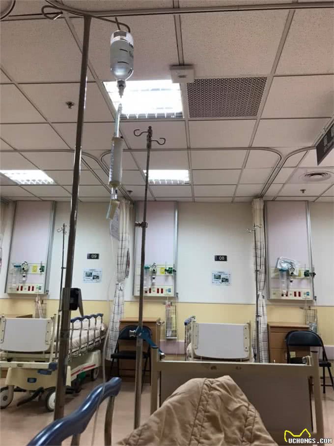 主人晕倒，被两只狗狗救回一命，生病时狗狗还一直守在身边