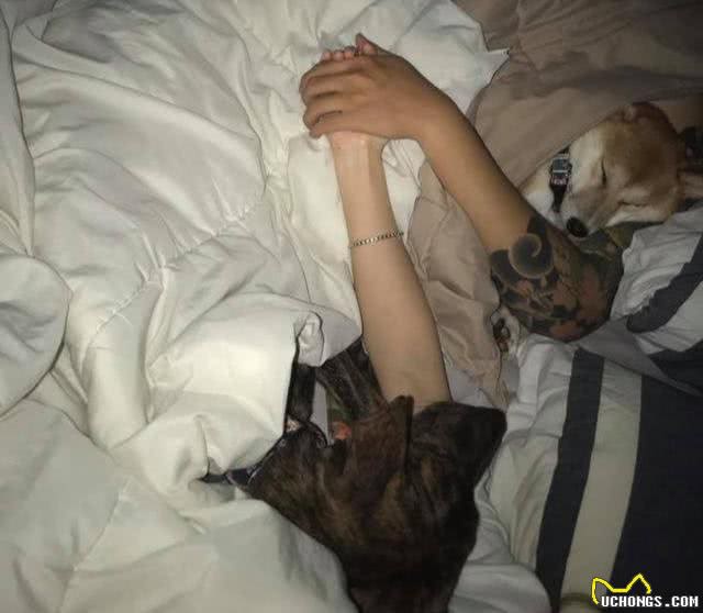 主人晕倒，被两只狗狗救回一命，生病时狗狗还一直守在身边