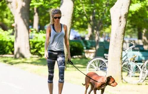 经常遛狗对狗是有好处的吗?我还需要注意些什么?