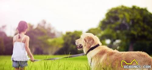 经常遛狗对狗是有好处的吗?我还需要注意些什么?